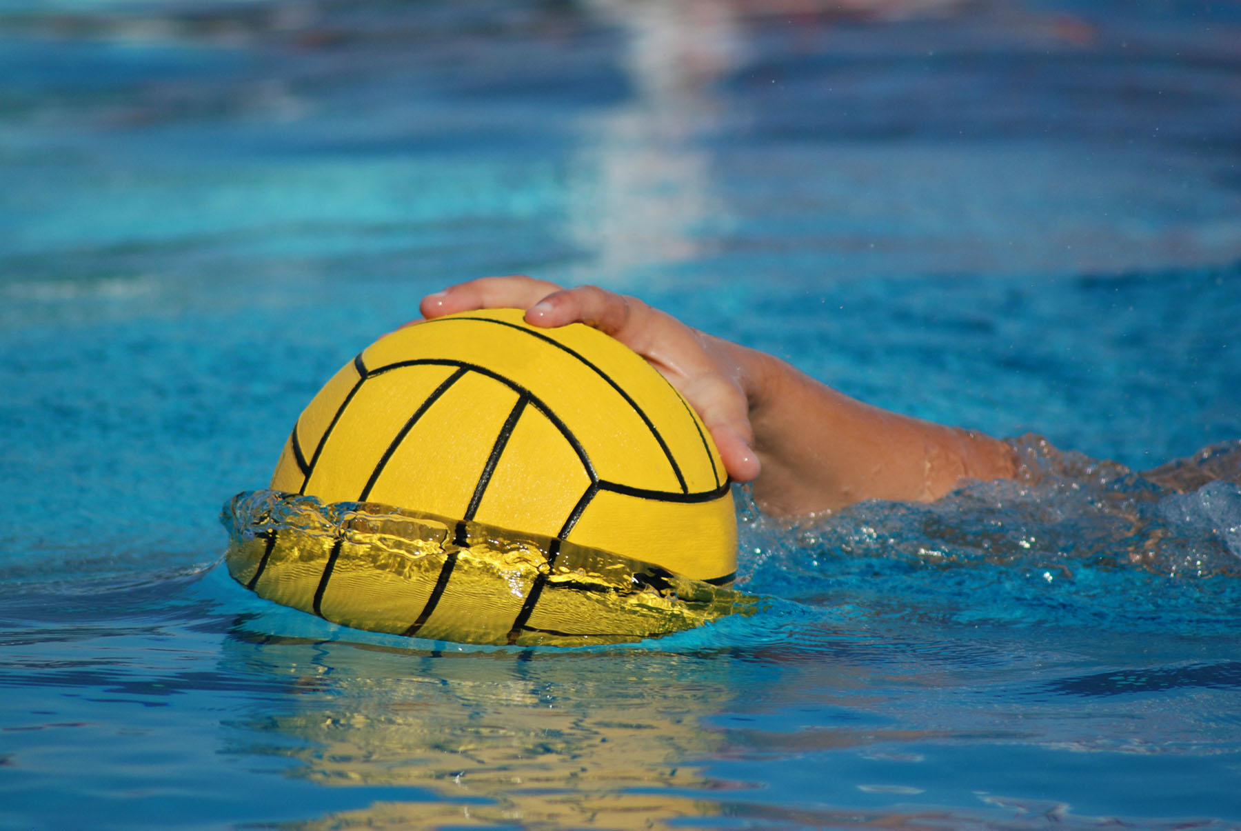 Fresh off 3rd at state, LTHS girls water polo eyes finals RiversideBrookfield Landmark